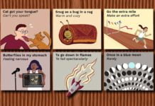 Idioms