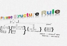 The Constituent Structure