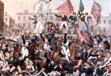 Shelley Calls for Action