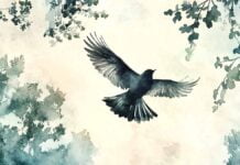 To a Skylark