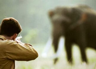 Shooting an Elephant